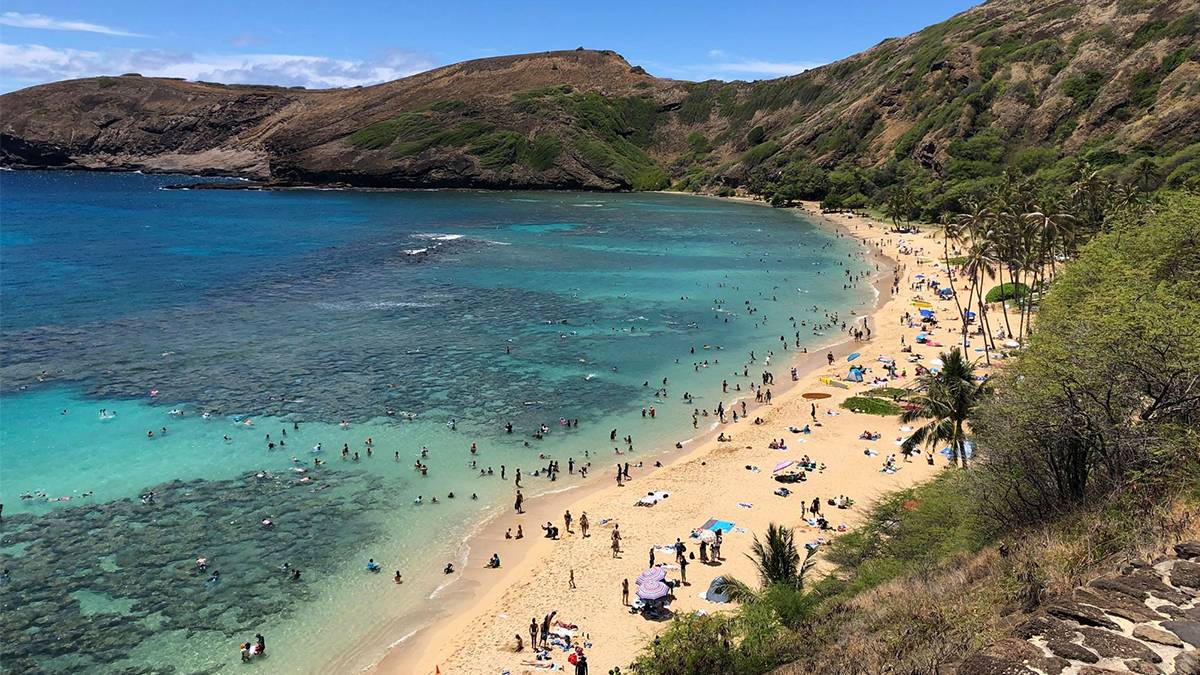 aerial view of crowd of people on beach on a sunny day at Hanauma Bay in Oʻahu, Hawaii, USA
