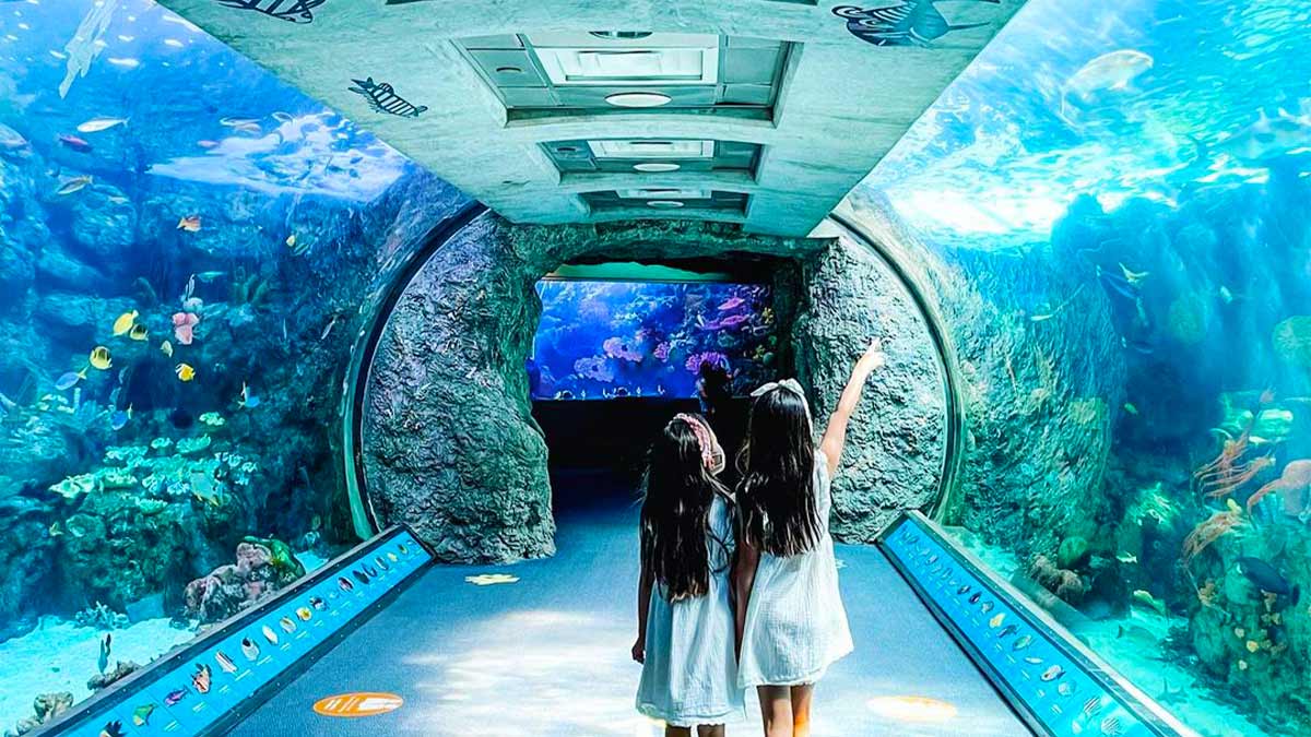 two children standing in shark tunnel at Aquarium of the Pacific in Los Angeles, California, USA