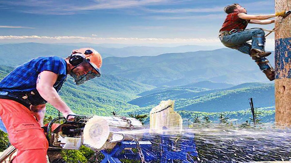 Lumberjack Feud Pigeon Coupons 🪓 Updated 2023