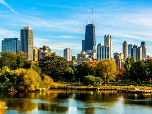 Fall Activities in Chicago: 2023 Festivals and Foliage Guide
