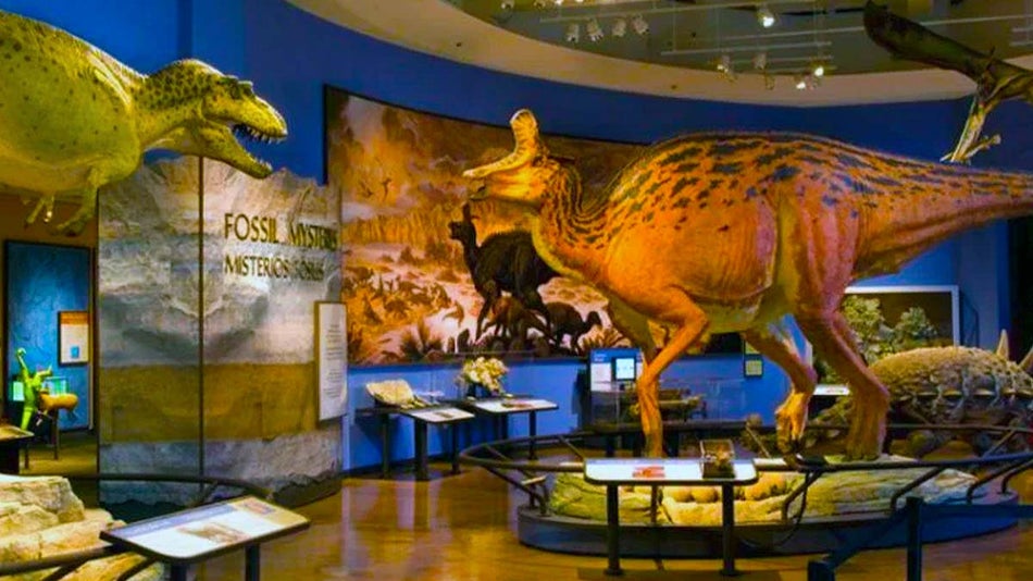 view of dinosaur exhibits at Natural History Museum in San Diego, California, USA