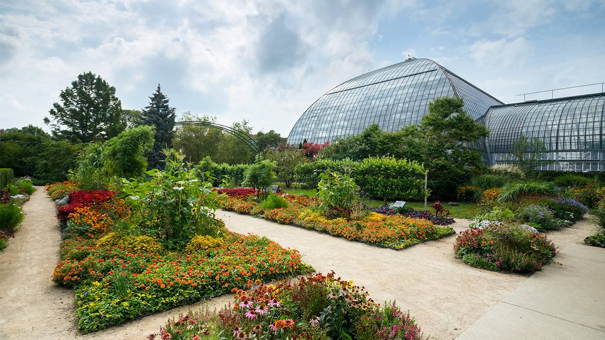 Exterior view of Garfield Park Conservatory with plants, flowers, and trees in Chicago, Illinois, USA