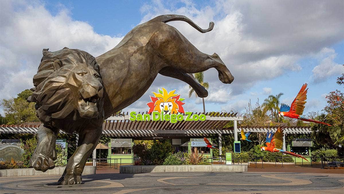 San Diego Zoo Tickets Discount 🐅 6 Ways to Save Up to 83% Off