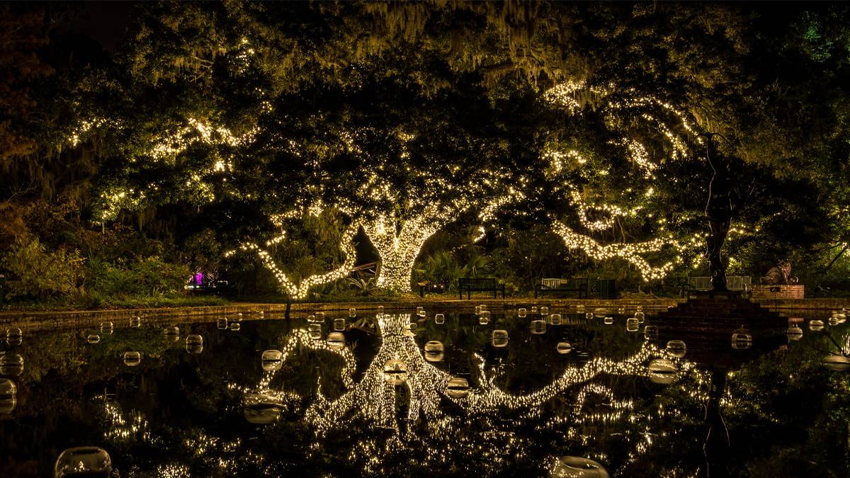 tree lit up at myrtle beach brookgreen gardens