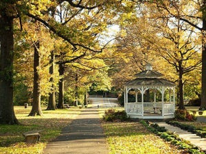 Philadelphia in Fall: 2023 Festivals and Foliage Guide