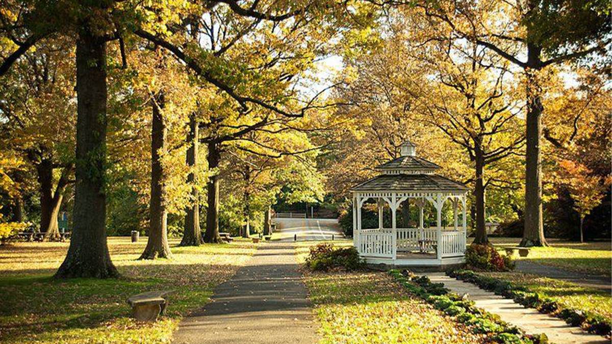 autumn and fall trees in Philadelphia, Pennsylvania, USA