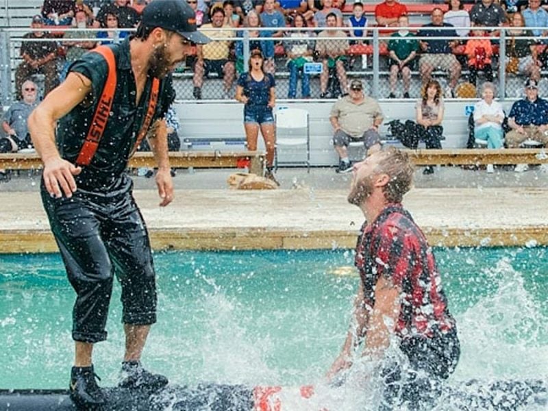 Complete Guide to Pigeon Tennessee