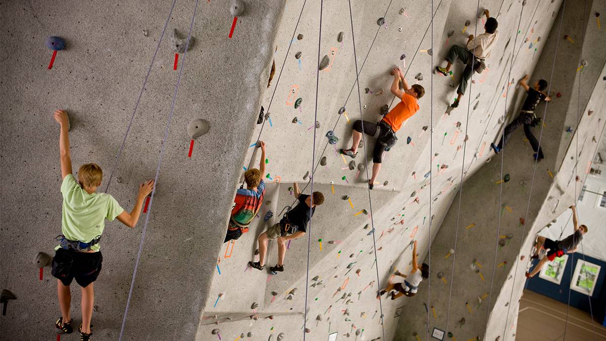 people climbing on a rock wall inside a rock climbing gym