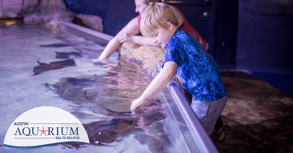 A day at the aquarium is one of the best things to do in Austin!