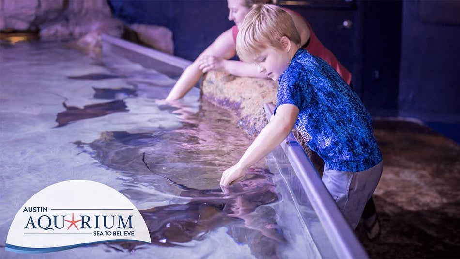 two kids petting stingrays at the austin aquarium in austin, texas