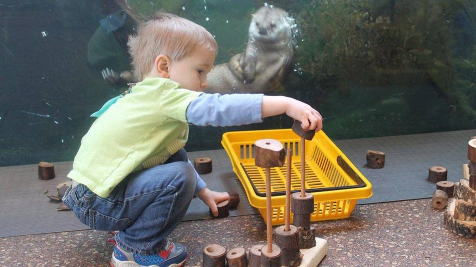 small toddler playing with log toys in front of aquarium in Lincoln Park Zoo in Chicago, Illinois, USA