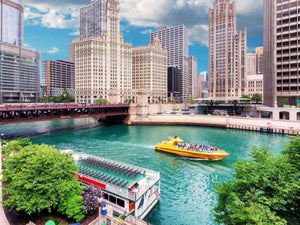Summer in Chicago: The Ultimate Fun Guide