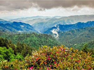 Best Hikes in Great Smoky Mountains: 9 You Don't Want to Miss