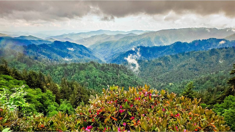 The View from Charlies Bunion Trail inside The Great Smoky Mountain National Park in Gatlinburg, Tennessee, USA