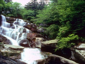 Ramsey Cascades: Hiking Guide