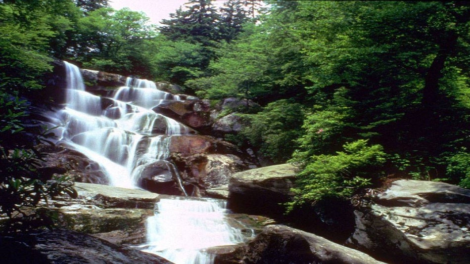 Ramsey Cascades in The Great Smoky Mountains near Gatlinburg, Tennessee, USA