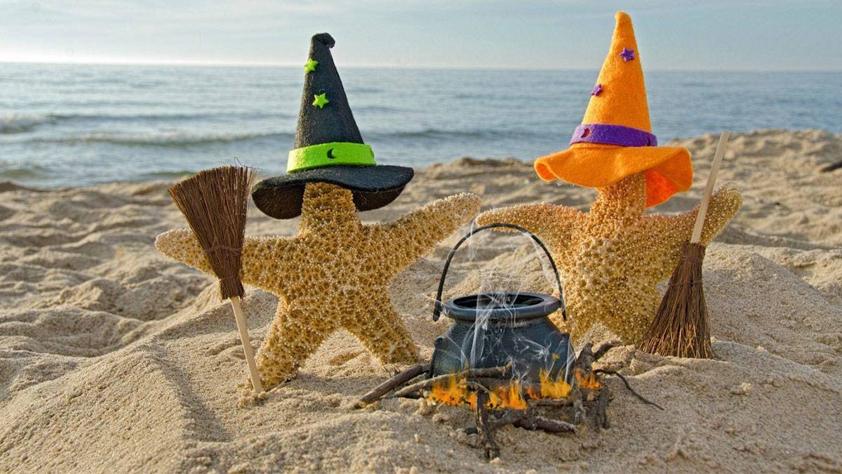 Starfish with witch hats and brooms on the beach
