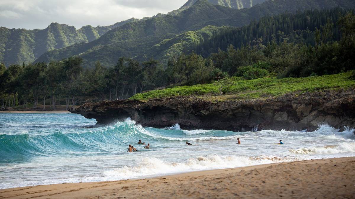 surfers on the ocean coast of a hawaiian island in Hawaii, USA
