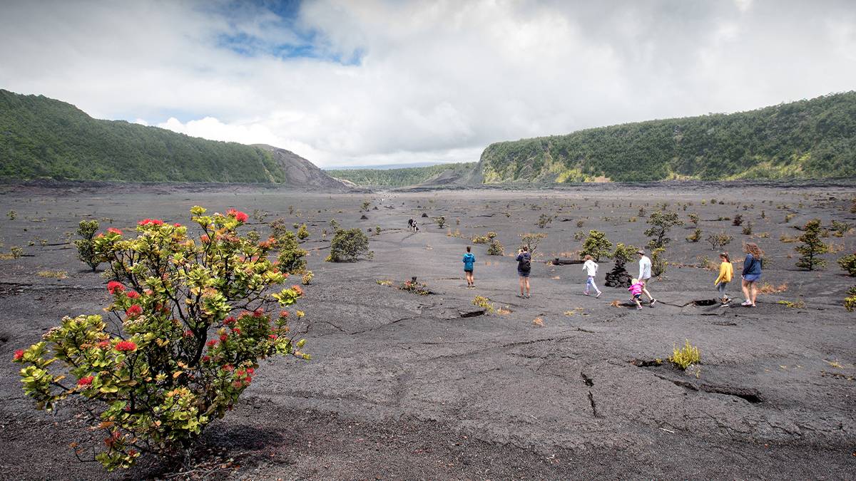 families hiking through the Kīlauea Iki Crater in the Hawaii Volcanoes National Park on Big Island, Hawaii, USA