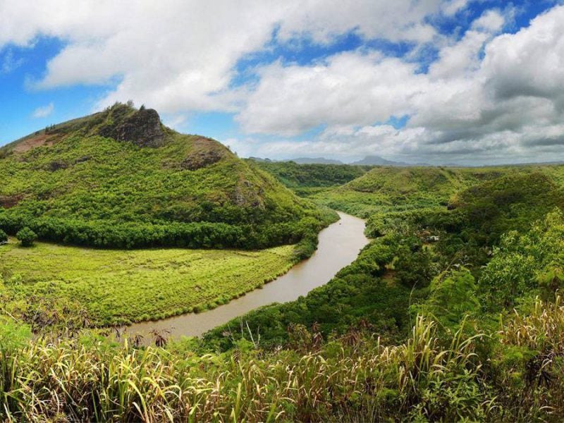 Wailua River Kayak Trip: The Ultimate Guide to Your Day on the River
