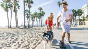 man and woman on skateboards along sand with palm trees and husky on street in Los Angeles, California, USA