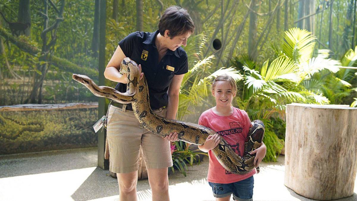 park ranger and girl holding large snake in the Nashville Zoo in Nashville, Tennessee USA