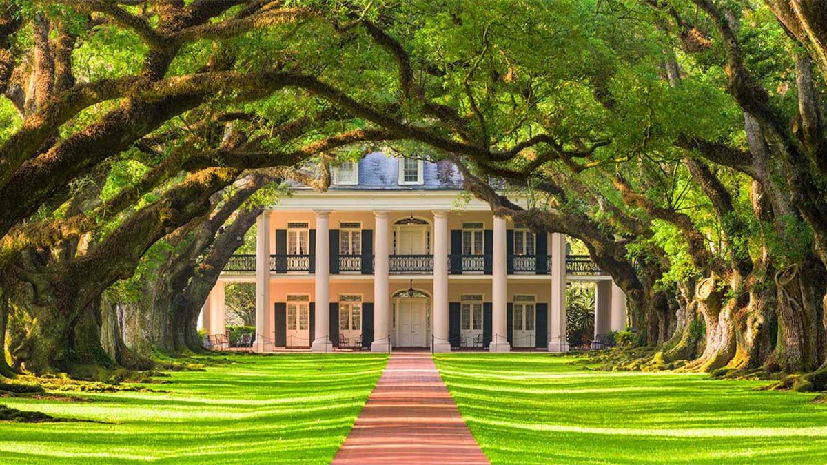 Vacherie, LA, USA - May 12, 2016: The tree canopy of Oak Alley Plantation. The oak trees were planted in the early 1800's and the property is designated as a National Historic Landmark.