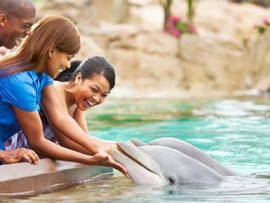 Tips for SeaWorld Orlando - An Insider's Guide to the Park