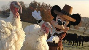 mickey mouse with thanksgiving turkeys