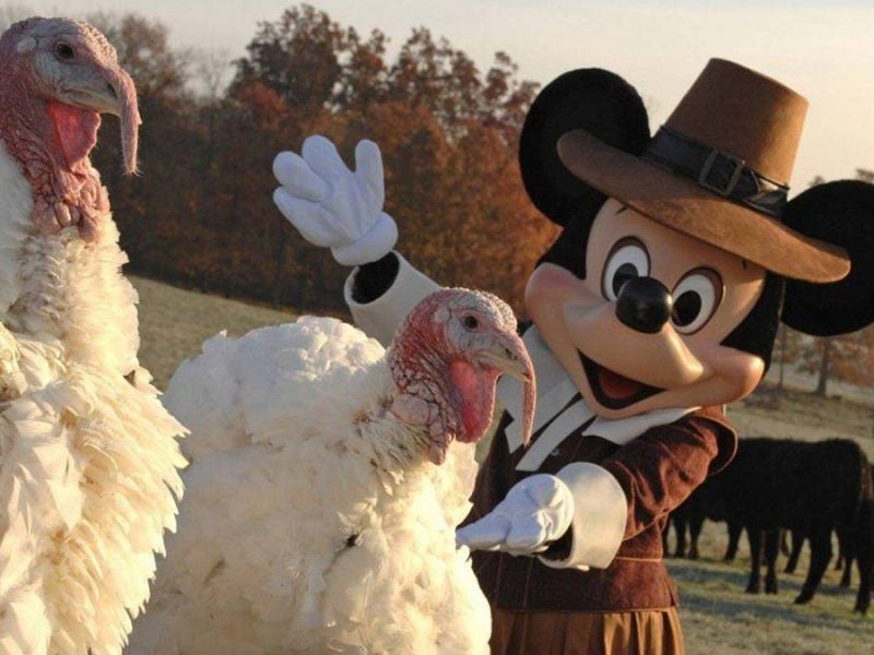 Disney World Thanksgiving: Where to Eat & What Do