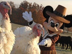 Disney World Thanksgiving: Where to Eat & What To Do