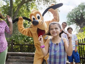 Character Meet and Greet Disney World﻿﻿﻿: Your Guide to the Magic