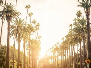 When is the Best Time to Visit Los Angeles?