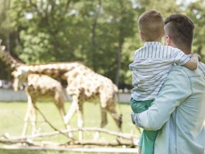 Tips for San Diego Zoo: 2023 Insider's Guide