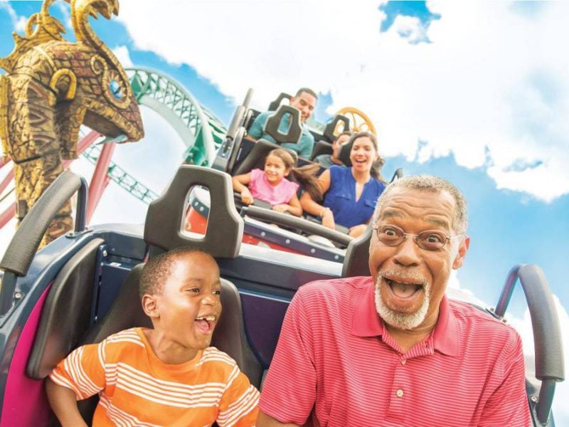 19 Simple Busch Gardens Tampa Tips for the Best Day Ever