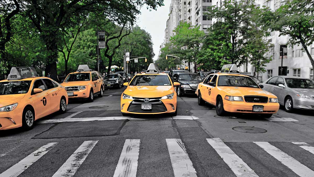 Taxi drivers lined up along crosswalk in New York CIty