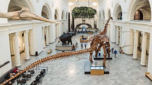 The 8 Best Chicago Museums You Can't Miss
