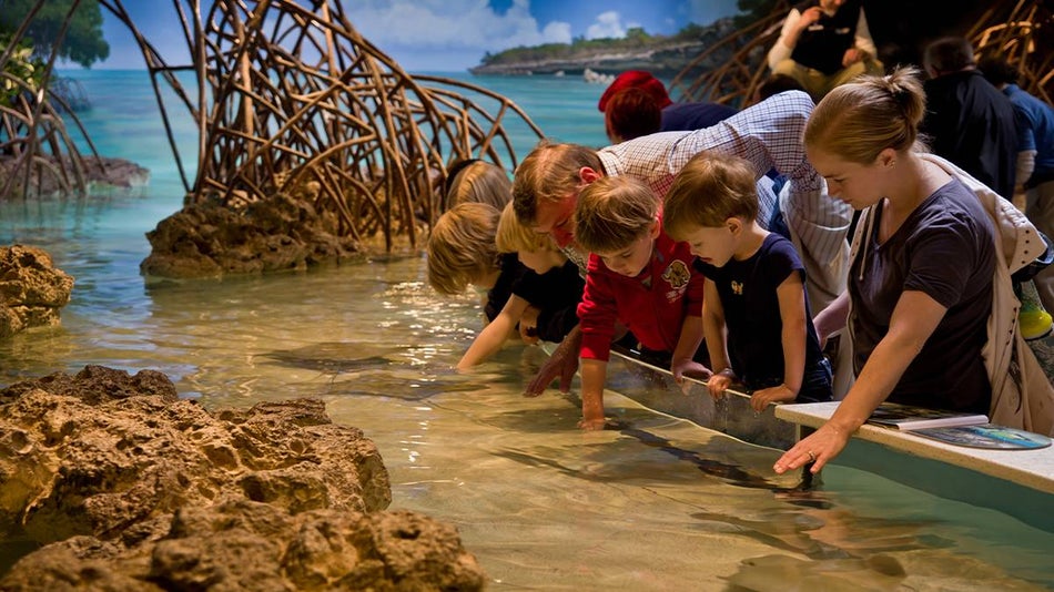 A family leaning over a touch pool tank filler with manta rays with rocks and sticks in the background at New England Aquarium in Boston, Massachusetts