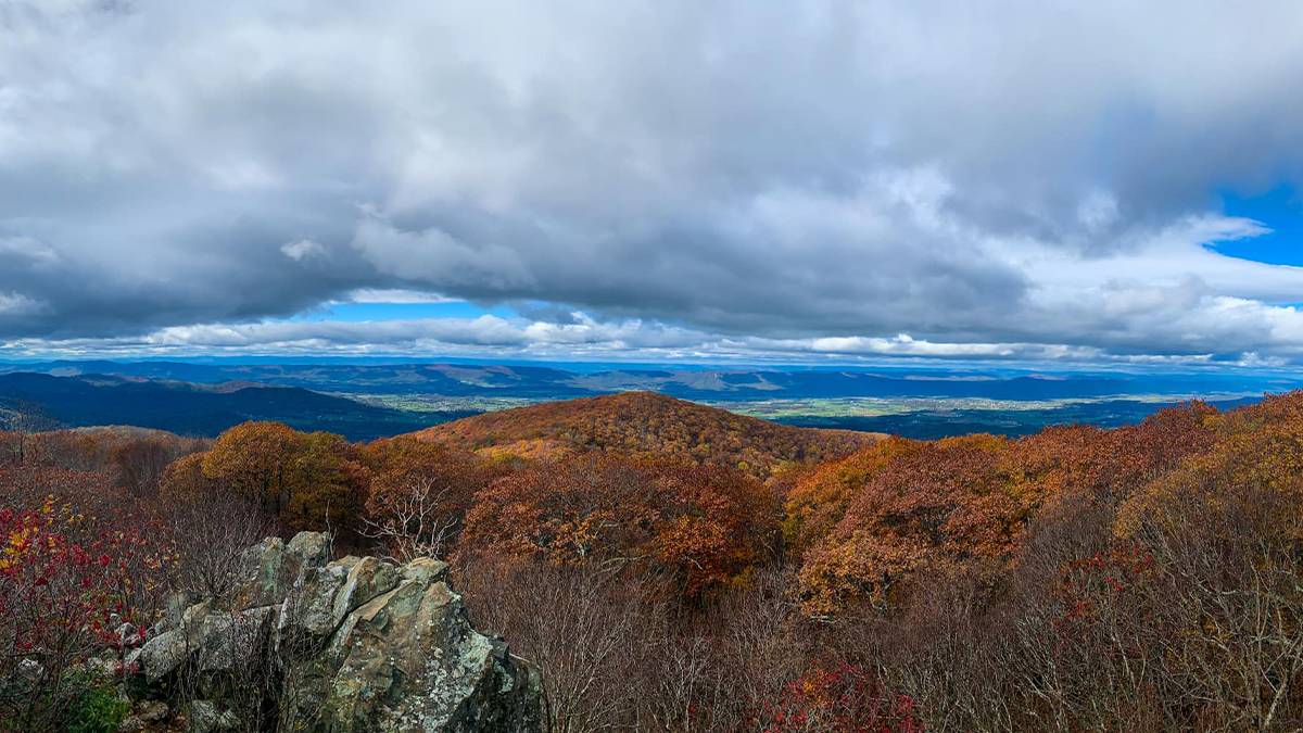 Hawksbill Mountain Tripster Travel Guide