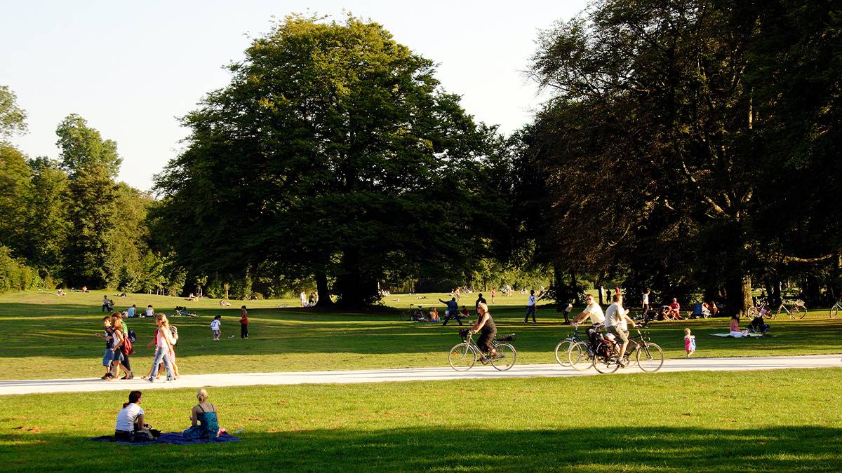 People riding bike and picnicking in a park with lots of green grass and trees