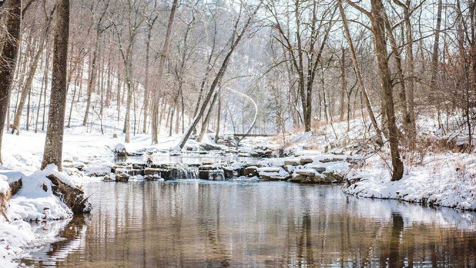 Wide shot of a creek surrounded by snowy trees in Dogwood Canyon in Branson, Missouri, USA