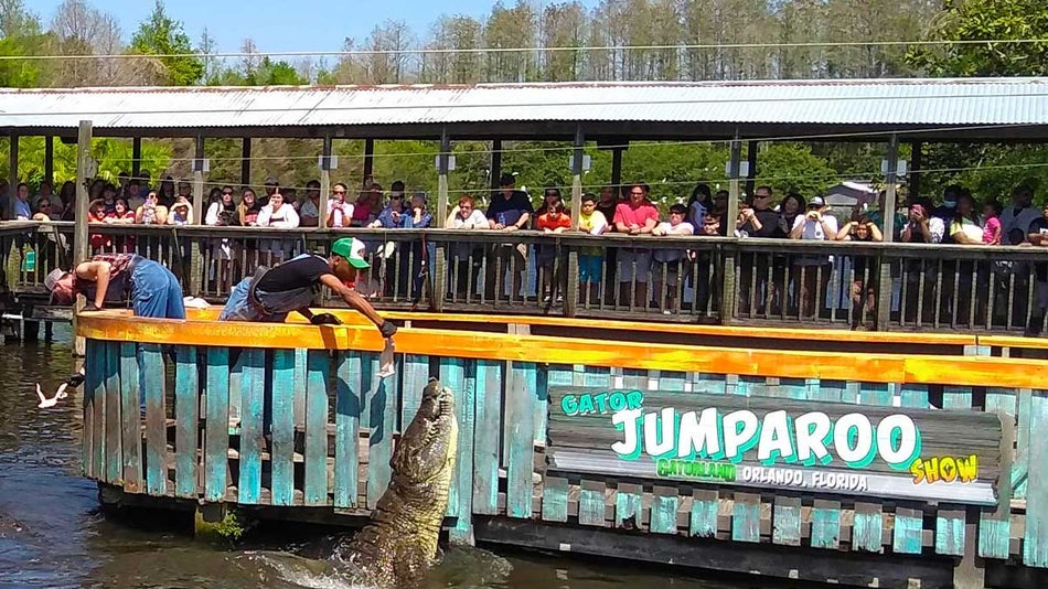 crowd watching two men holding out food for crocodiles in water at Gator Jumparoo Show in Gatorland, Orlando, Florida, USA