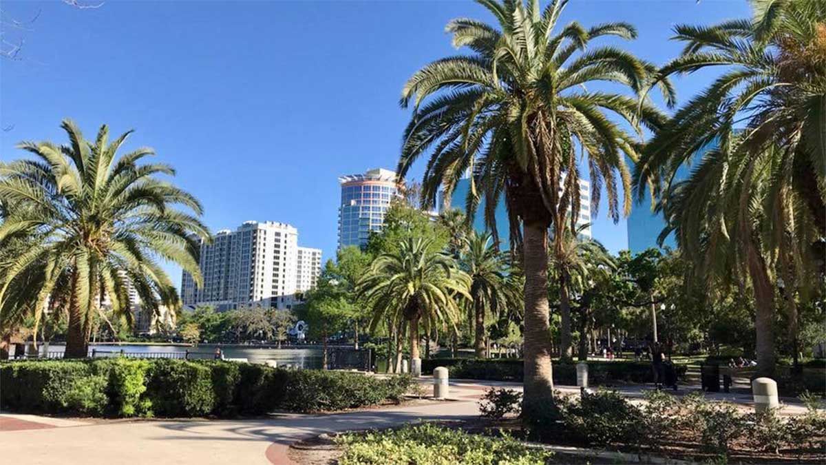 pathway surrounded by palm trees and plants with body of water and buildings in distance at Lake Eola Park in Orlando, Florida, USA