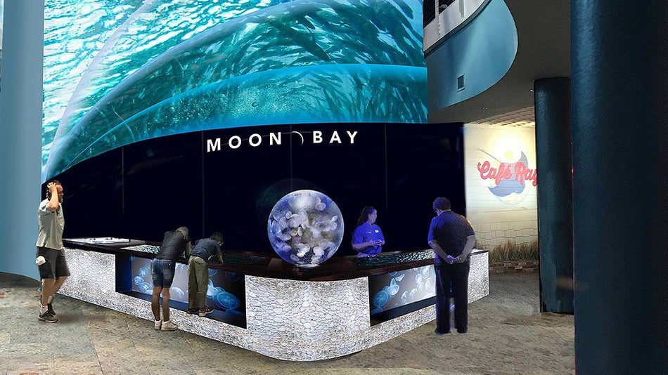 People enjoy visiting the Moon Bay Aquarium.