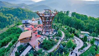 aerial view of Anakeesta surrounded by trees with mountains in distance during day in Gatlinburg, Tennessee, USA