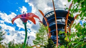 angled photo of AnaVista Tower with close up of flower and plants in foreground at Anakeesta in Gatlinburg, Tennessee, USA