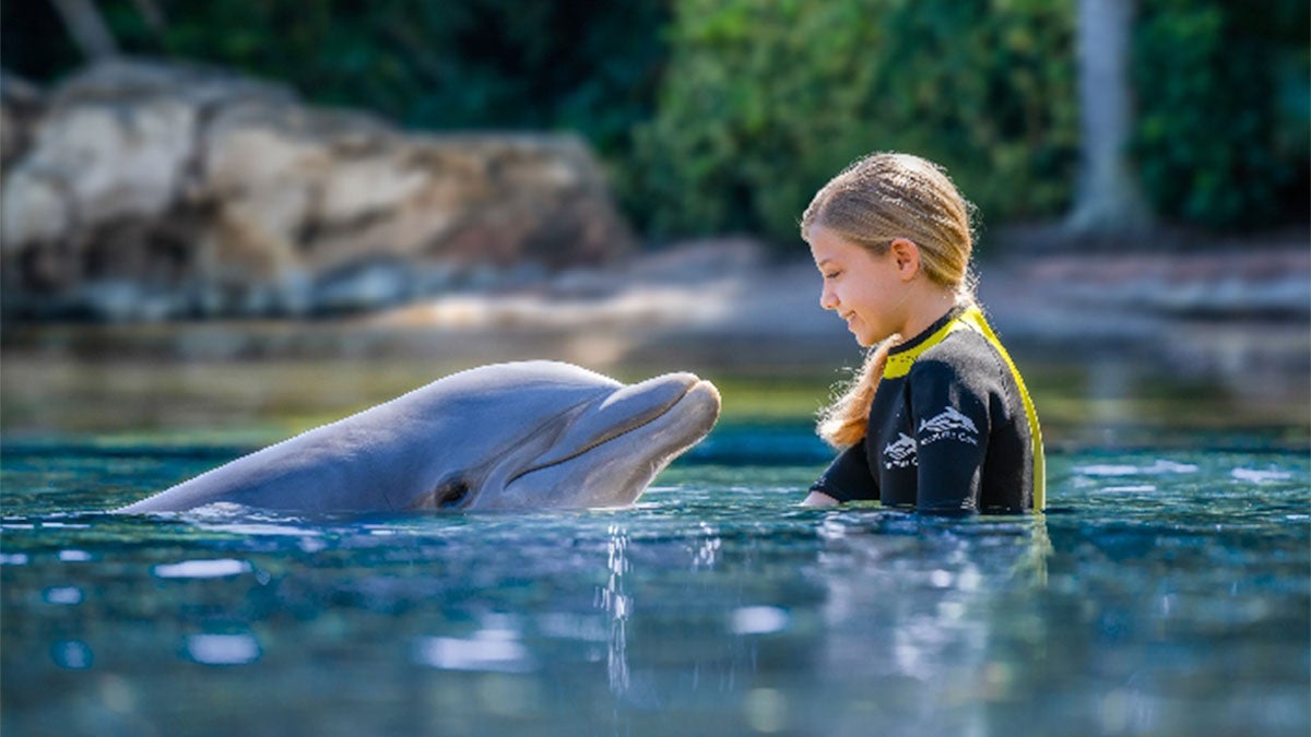 a stolen shot of a child smiling at the dolphin 