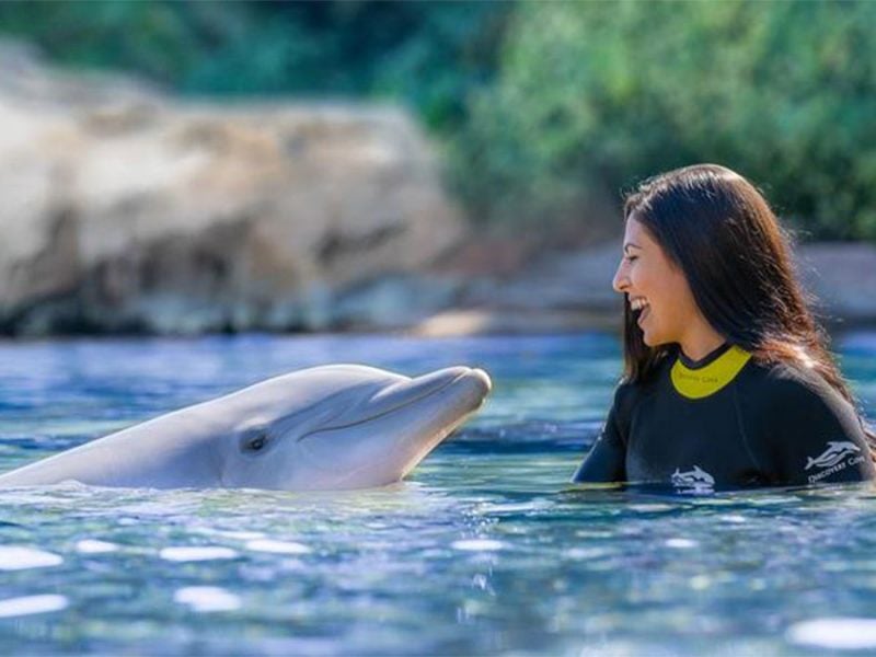 The Complete Guide to Discovery Cove Swim with Dolphins
