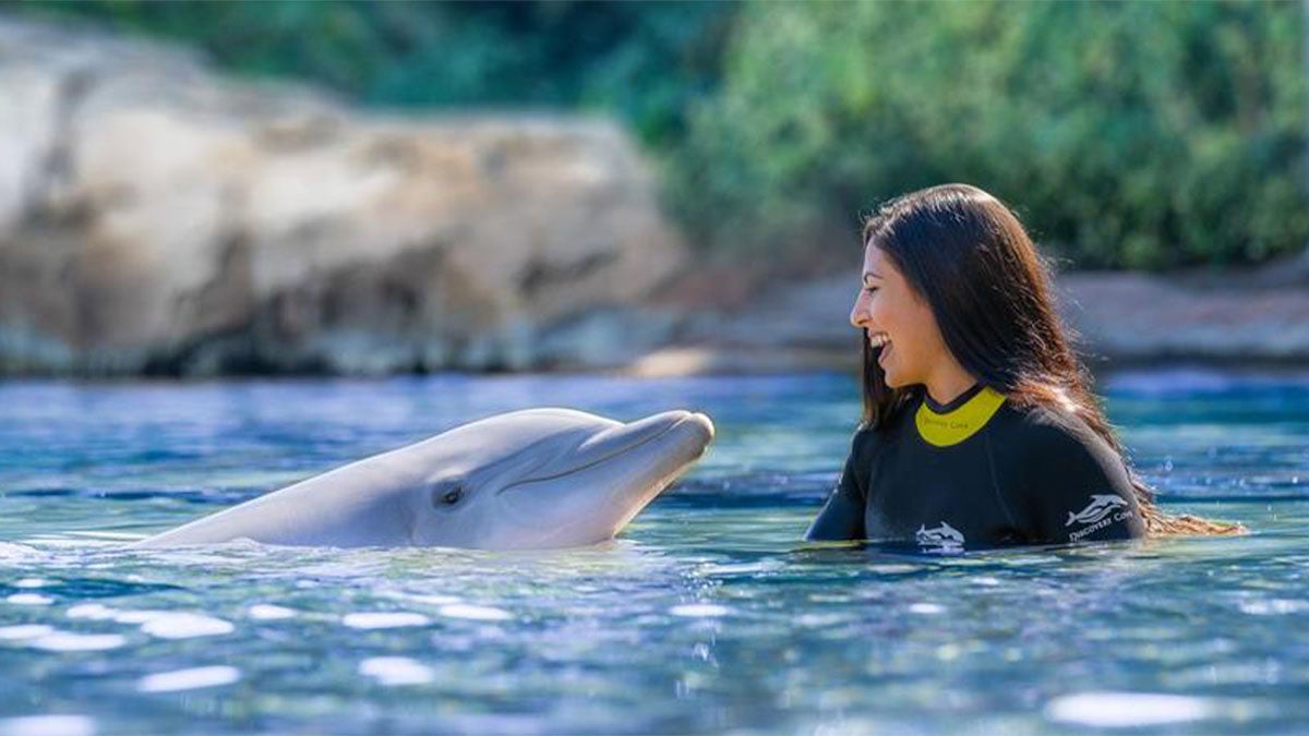 a stolen shot of a happy girl smiling with a dolphin 