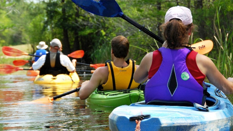 group of people kayaking at Guided Kayak Tour in Hilton Head, South Carolina, USA